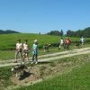 Chiens de Traineau en Haute-Savoie avec Évasion Nordique