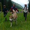 Cani-Rando en Haute-Savoie avec Évasion Nordique